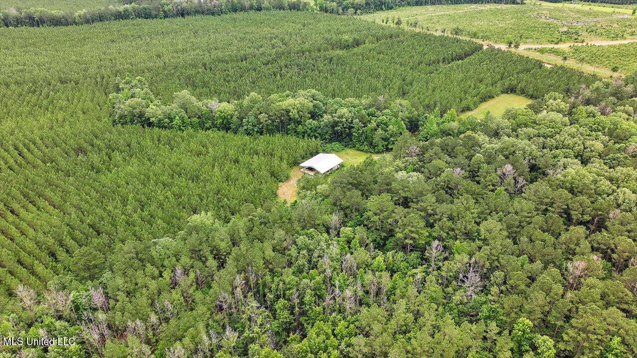 772 Mount Helm Road, Brandon, Mississippi image 25