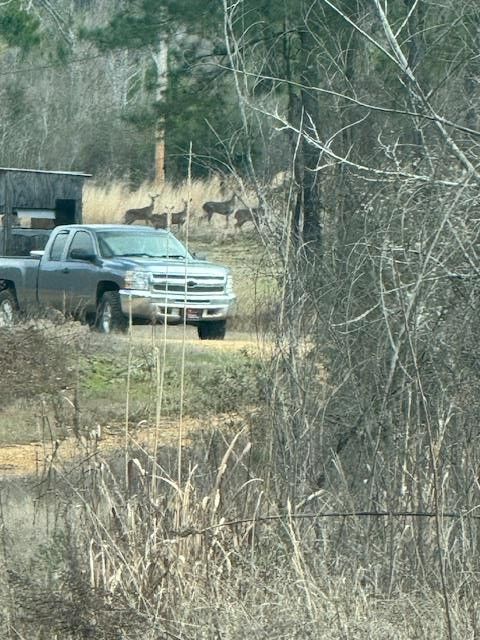 Vacant Land For Sale - 1111 Mount Olive Rd Se<br/> Lincoln County, Bogue Chitto, MS 39629