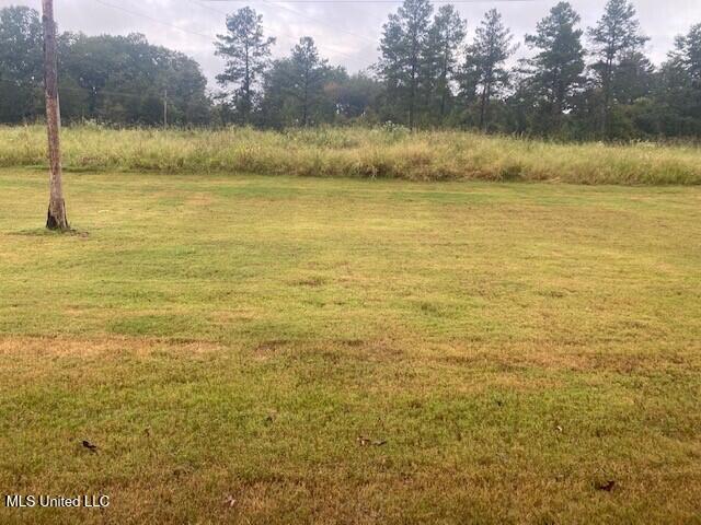 118 Grayson Way, Madison, Mississippi image 30