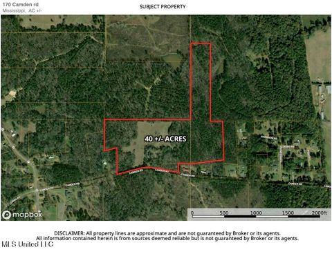 Vacant Land For Sale - 170 Camden Road<br/> Camden, MS 39045