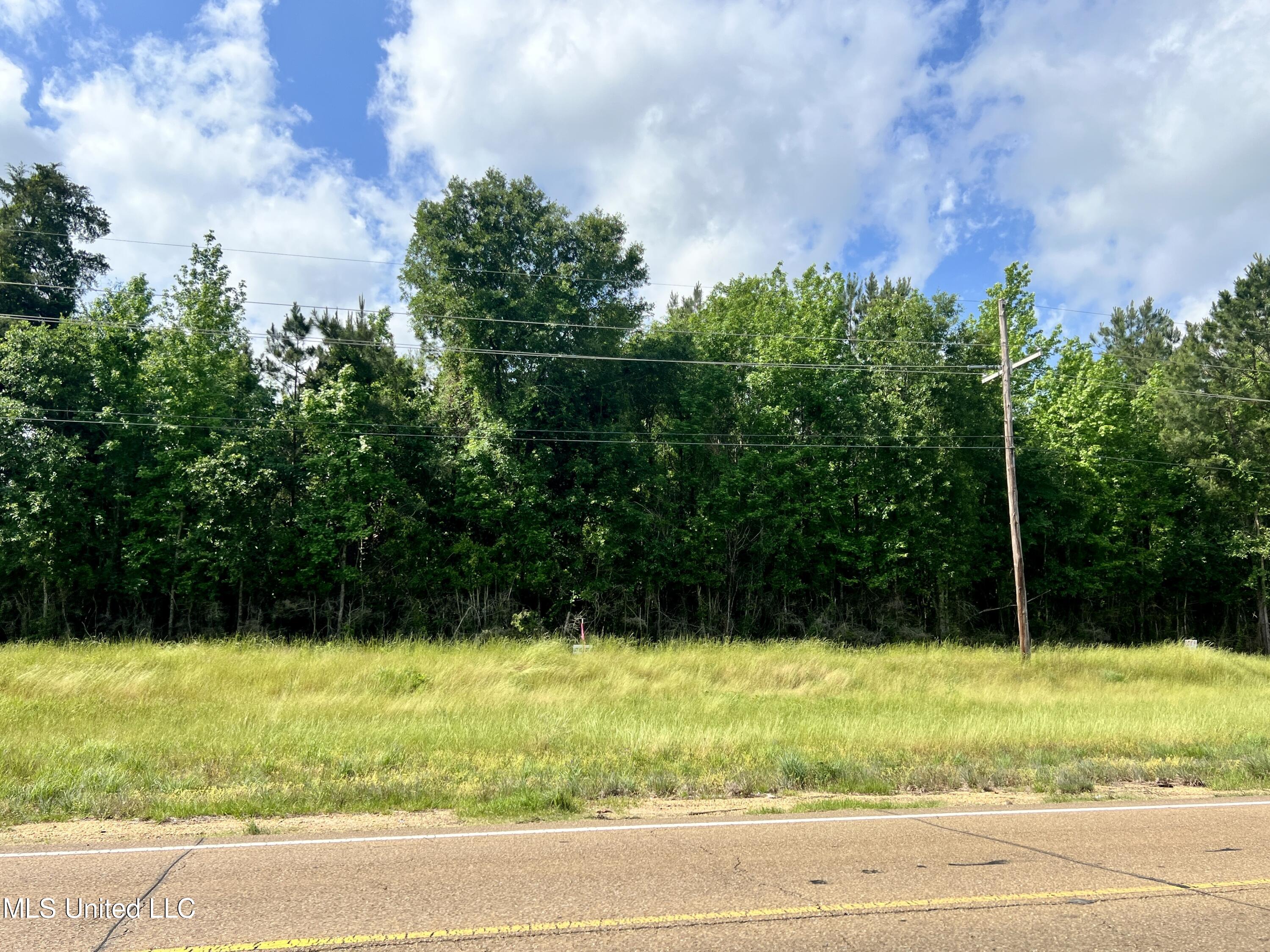 Lot 10 Hwy 24, Centreville, Mississippi image 2