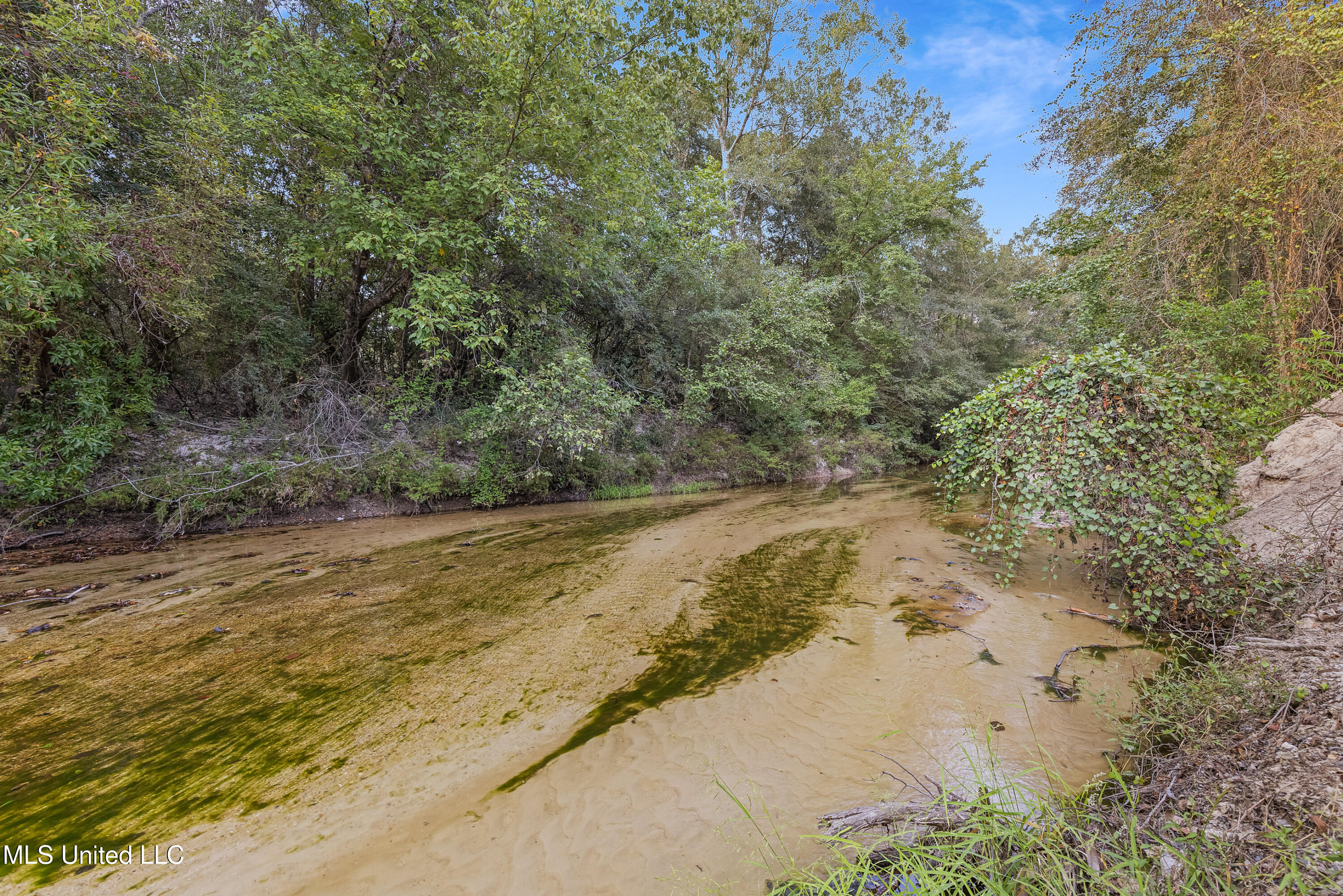 19075 Clearwater Drive, Kiln, Mississippi image 3