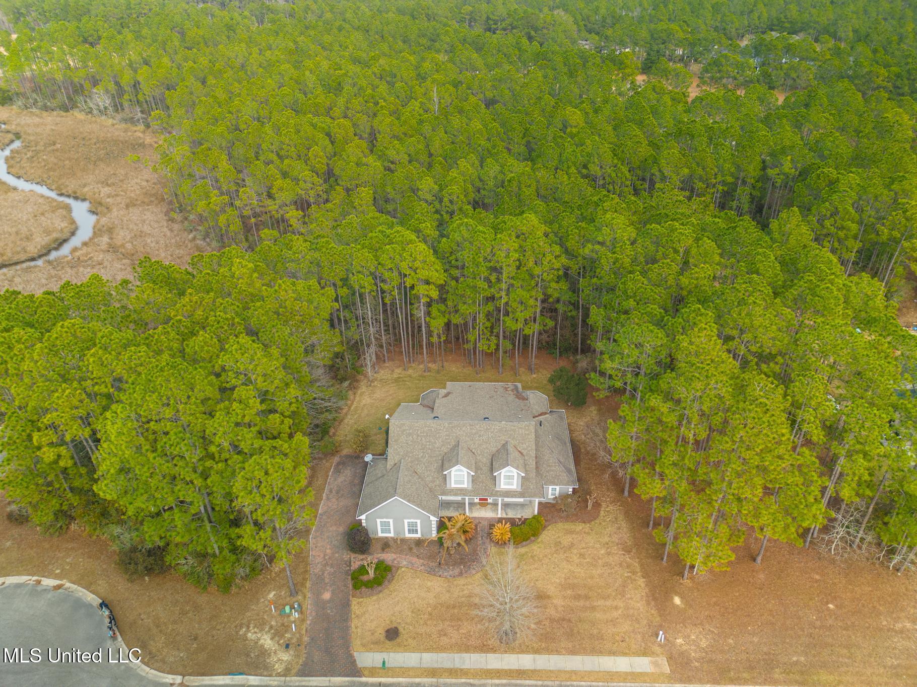 2904 Royal Run Ln, Gautier, Mississippi image 4