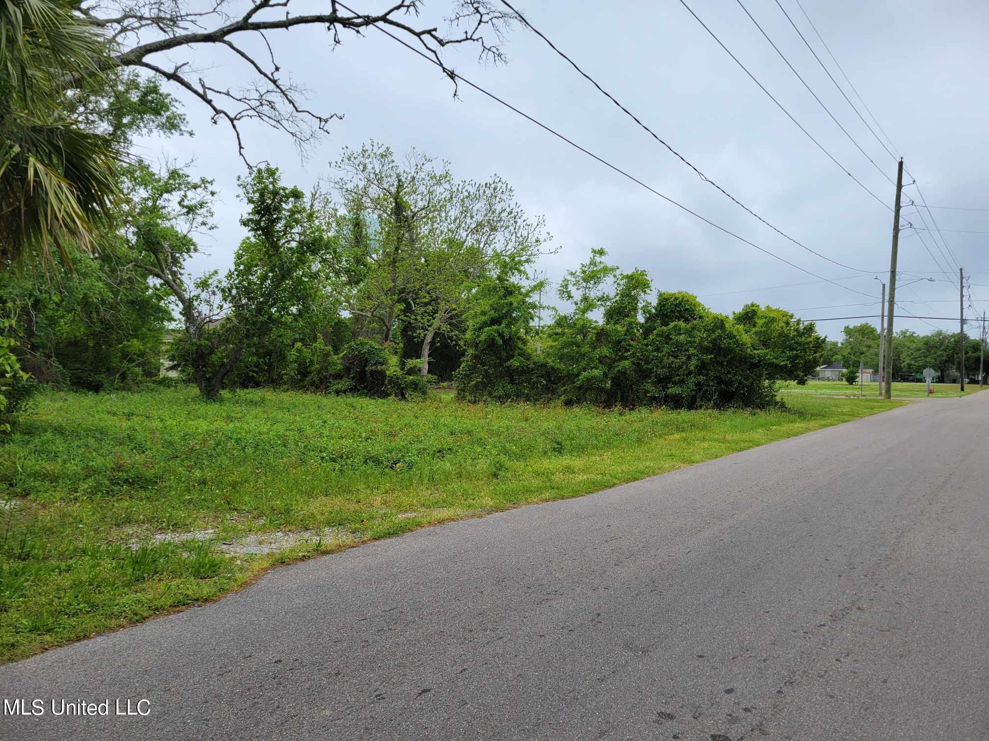 Sycamore Street, Bay Saint Louis, Mississippi image 7