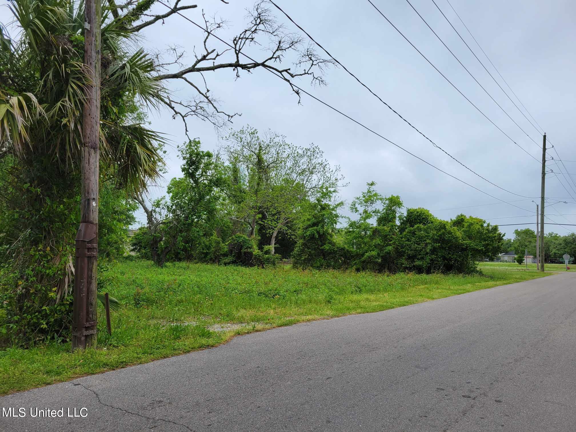 Sycamore Street, Bay Saint Louis, Mississippi image 6