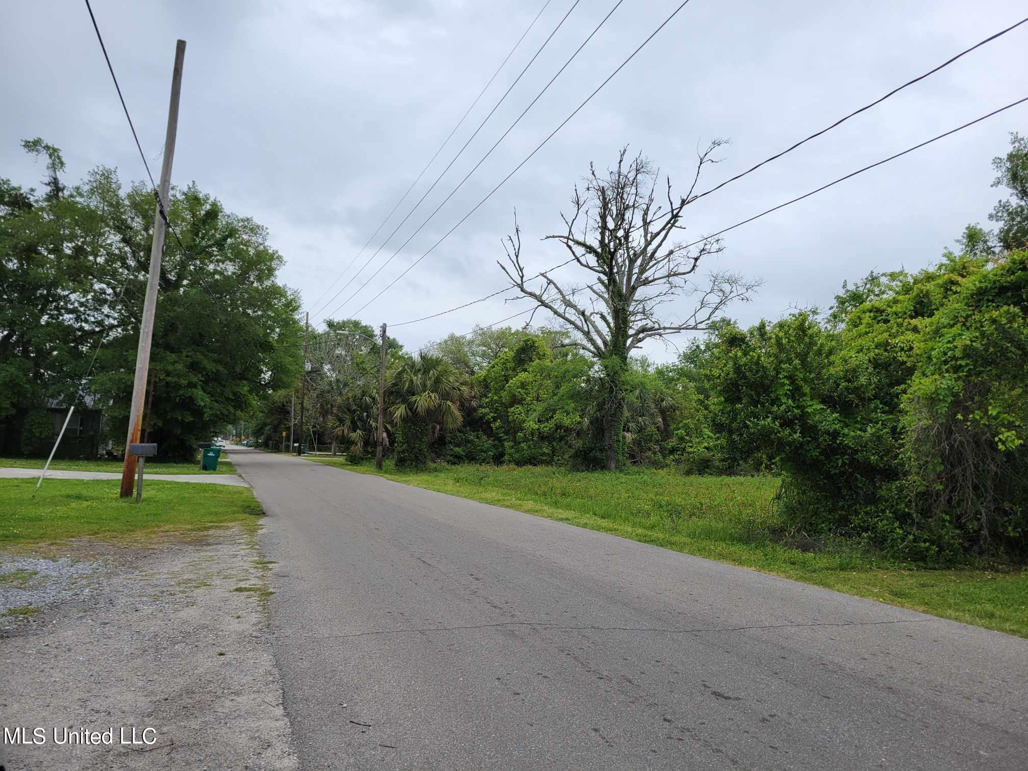 Sycamore Street, Bay Saint Louis, Mississippi image 8