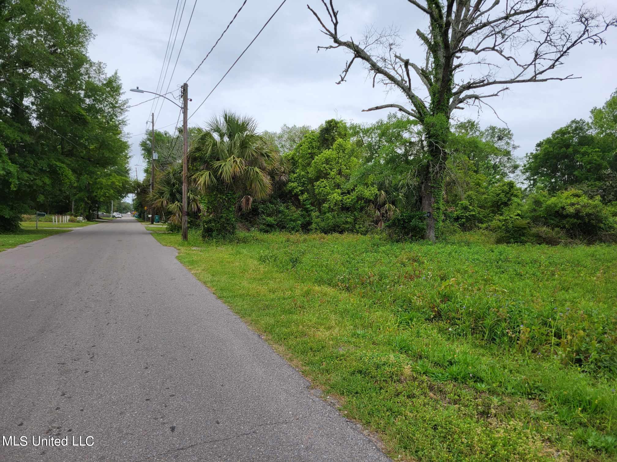 Sycamore Street, Bay Saint Louis, Mississippi image 4