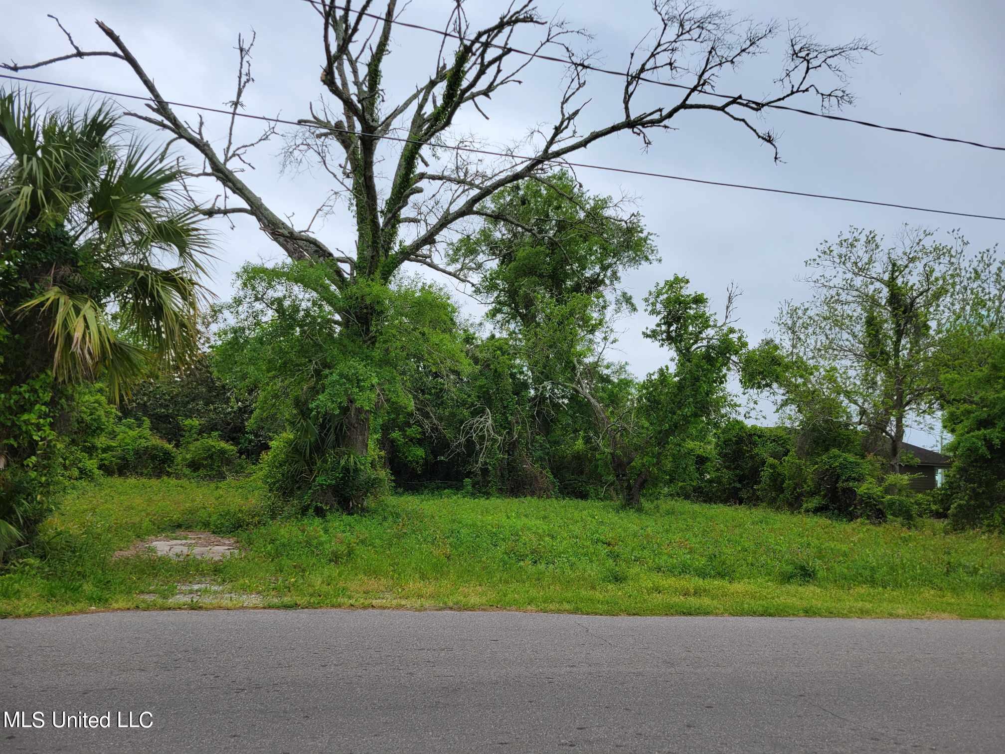 Sycamore Street, Bay Saint Louis, Mississippi image 1