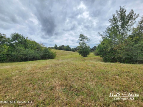 Vacant Land For Sale - 11.26 Bub Jamison Road<br/> Tate County, Coldwater, MS 38618