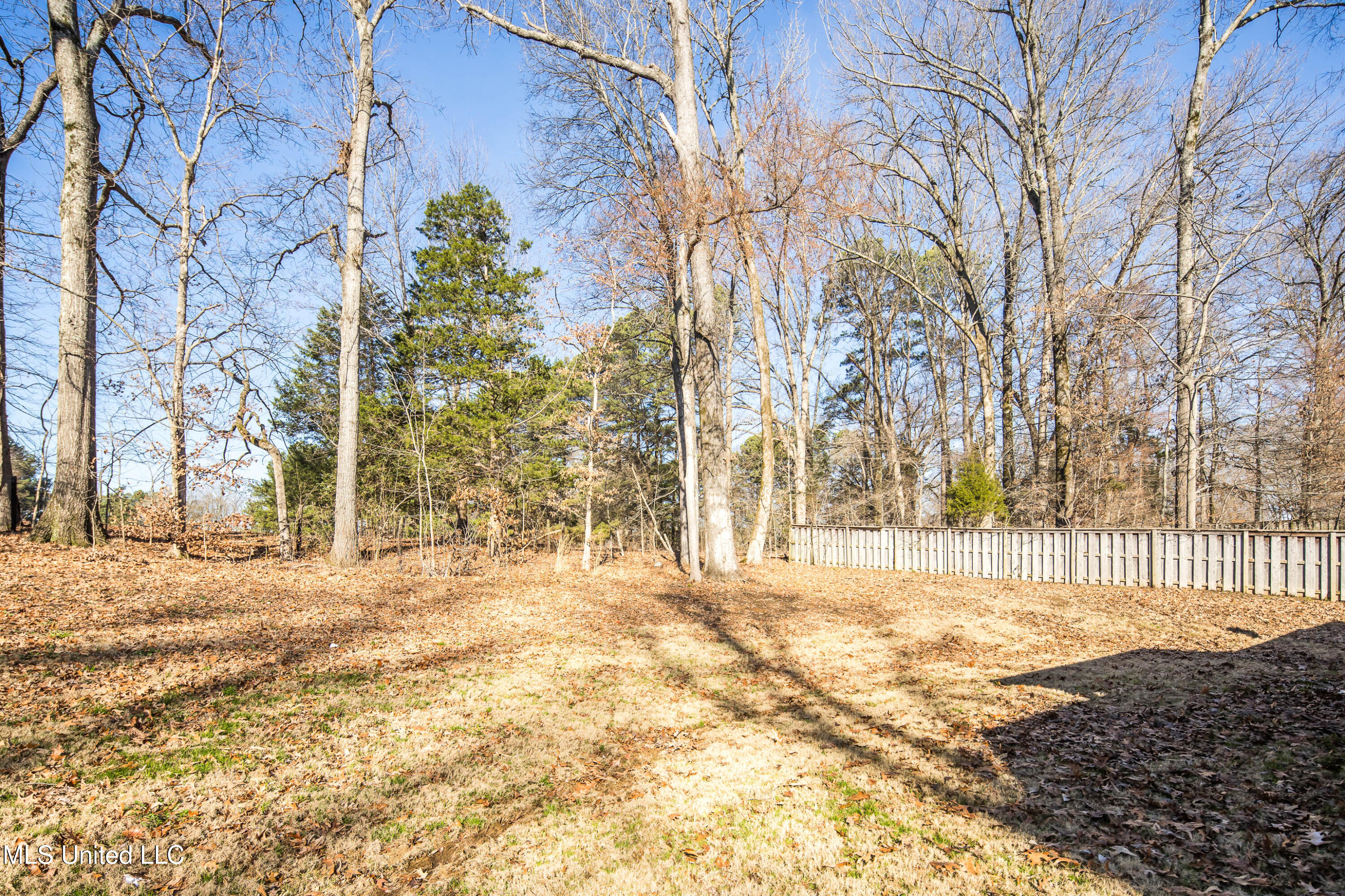 4611 Bonne Terre Drive, Nesbit, Mississippi image 36
