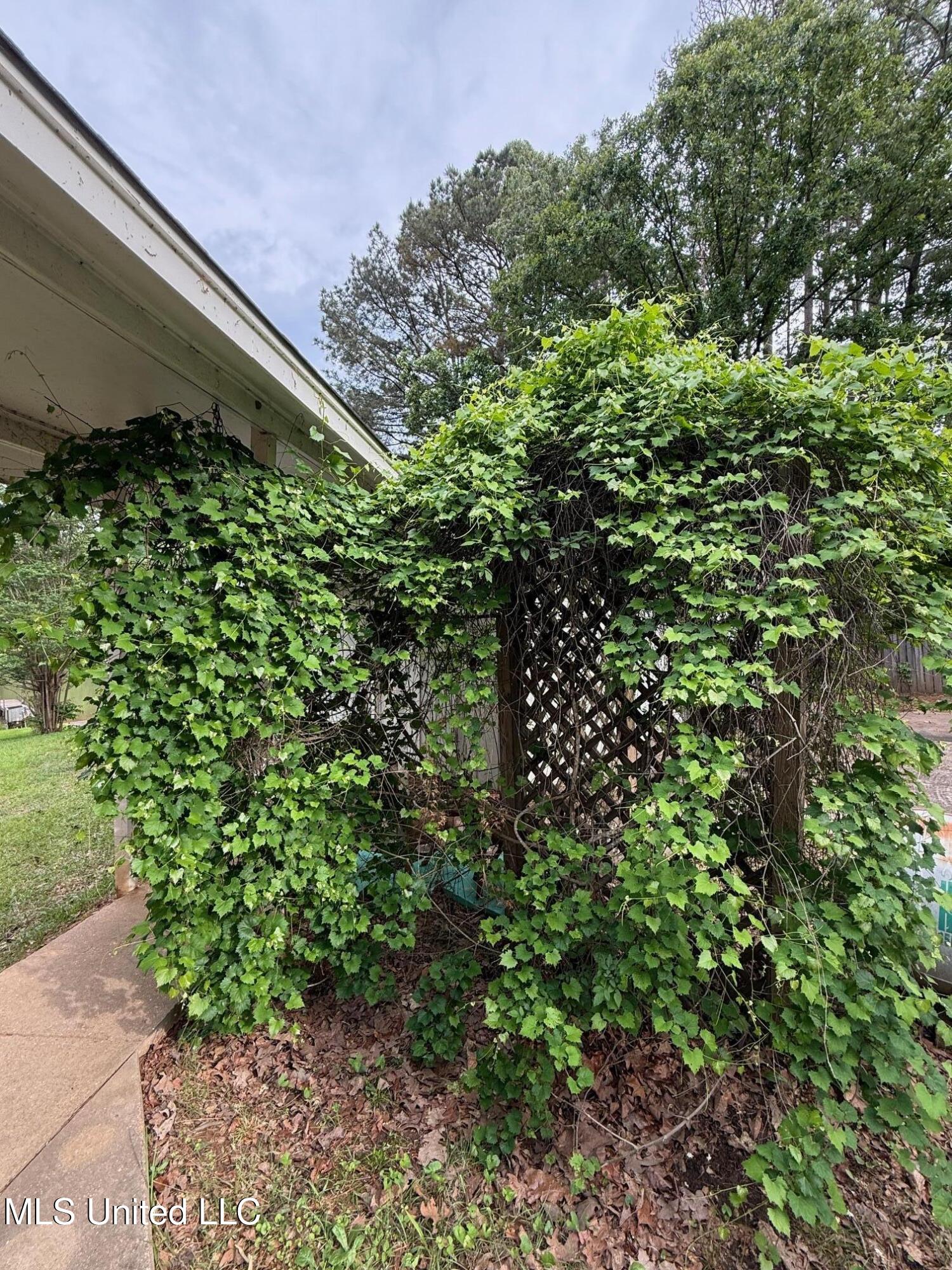 106 Skiers Point, Canton, Mississippi image 22