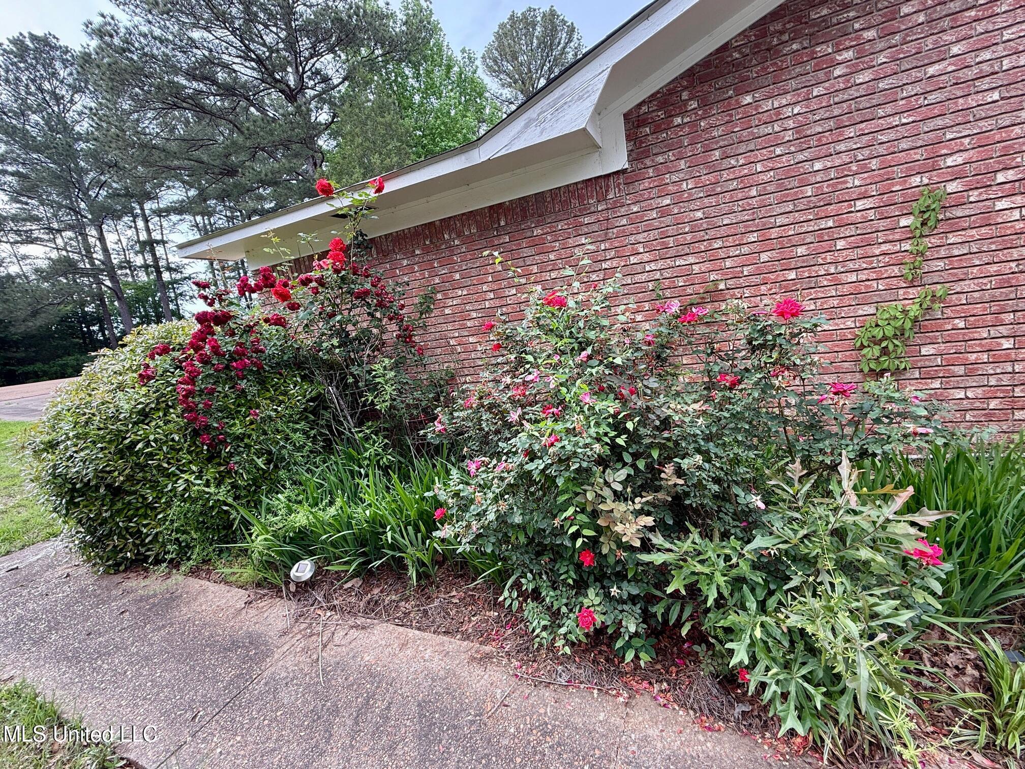 106 Skiers Point, Canton, Mississippi image 23