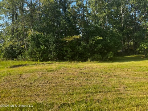 Vacant Land For Sale - LOT 10 Briar Creek Circle Cir<br/> Laurel, MS 39440