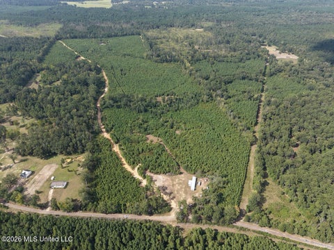 Vacant Land For Sale - 3563 Powell Road<br/> Amite County, Liberty, MS 39645