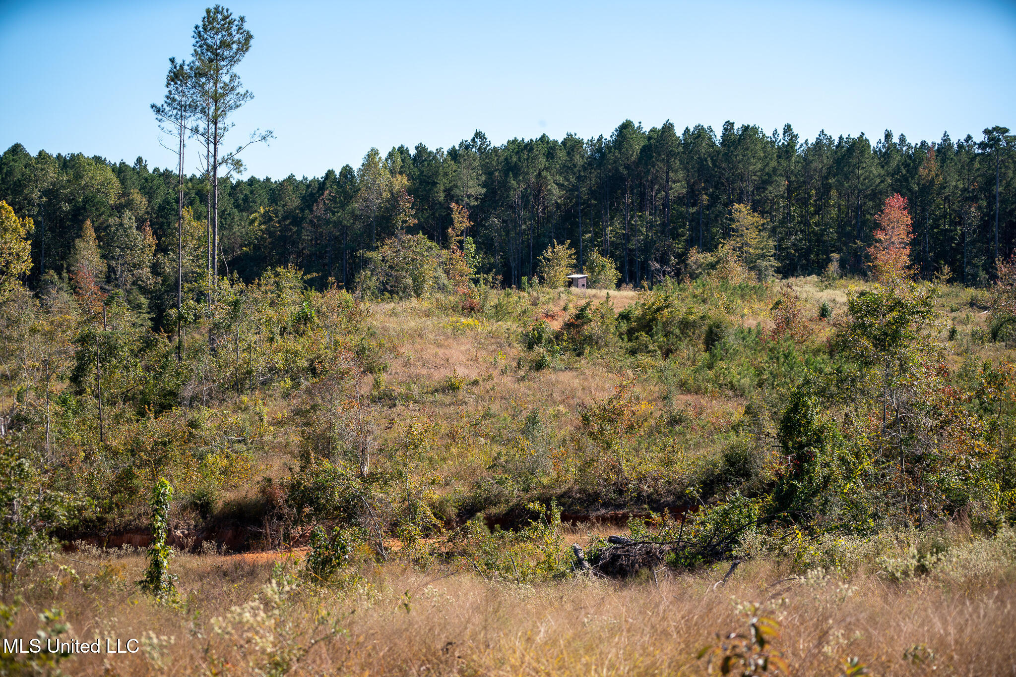 Hickory Fellowship Road, Hickory, Mississippi image 8