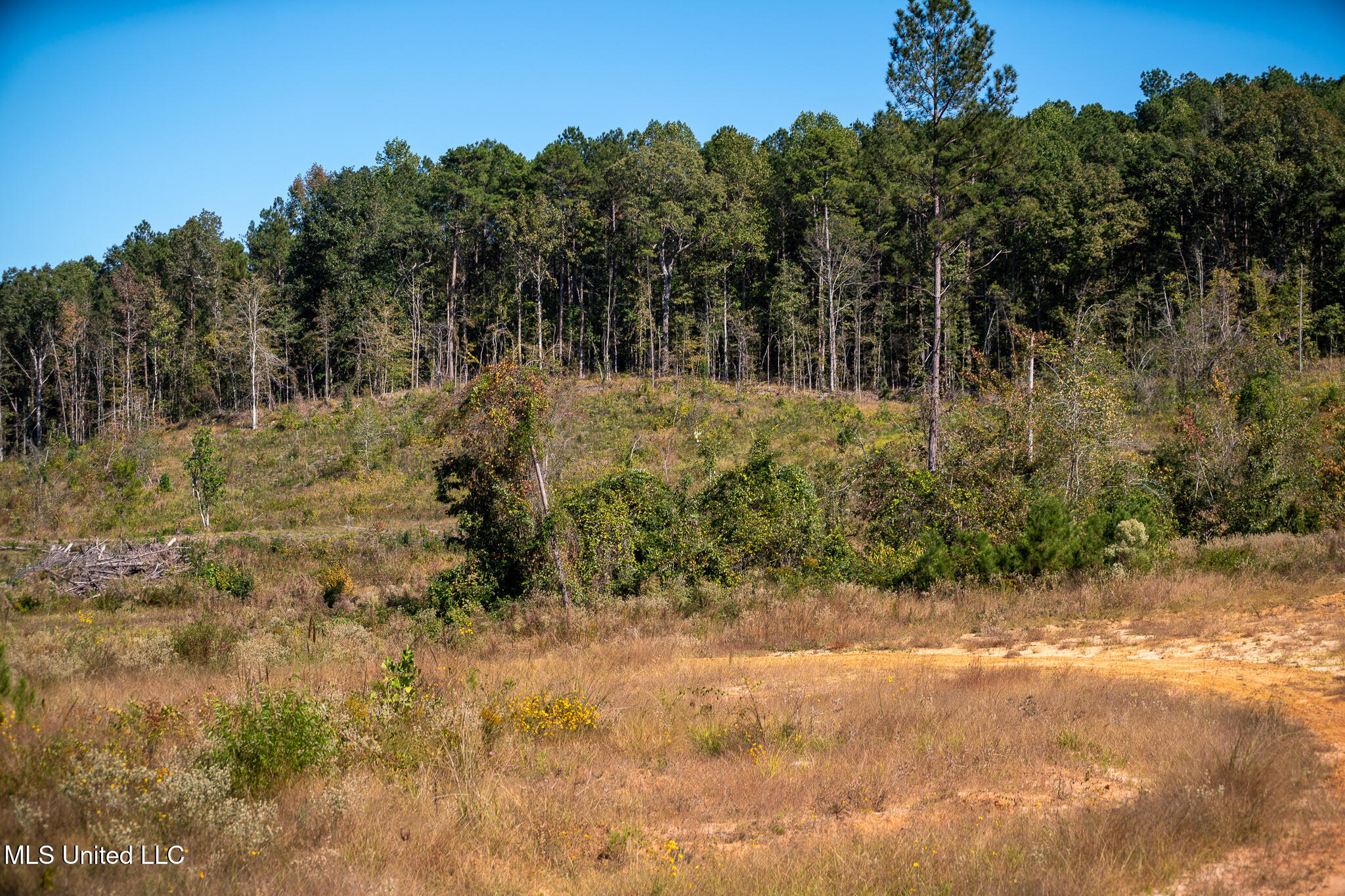 Hickory Fellowship Road, Hickory, Mississippi image 5