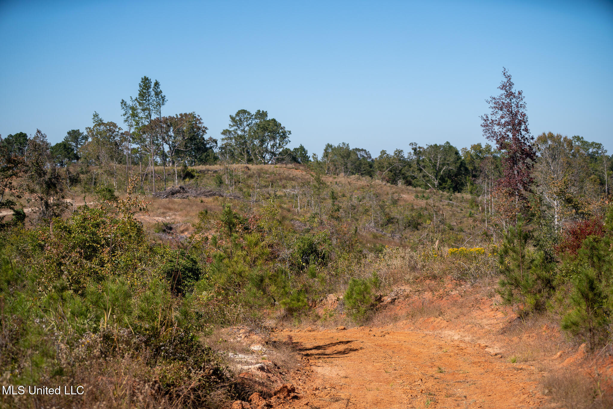 Hickory Fellowship Road, Hickory, Mississippi image 4