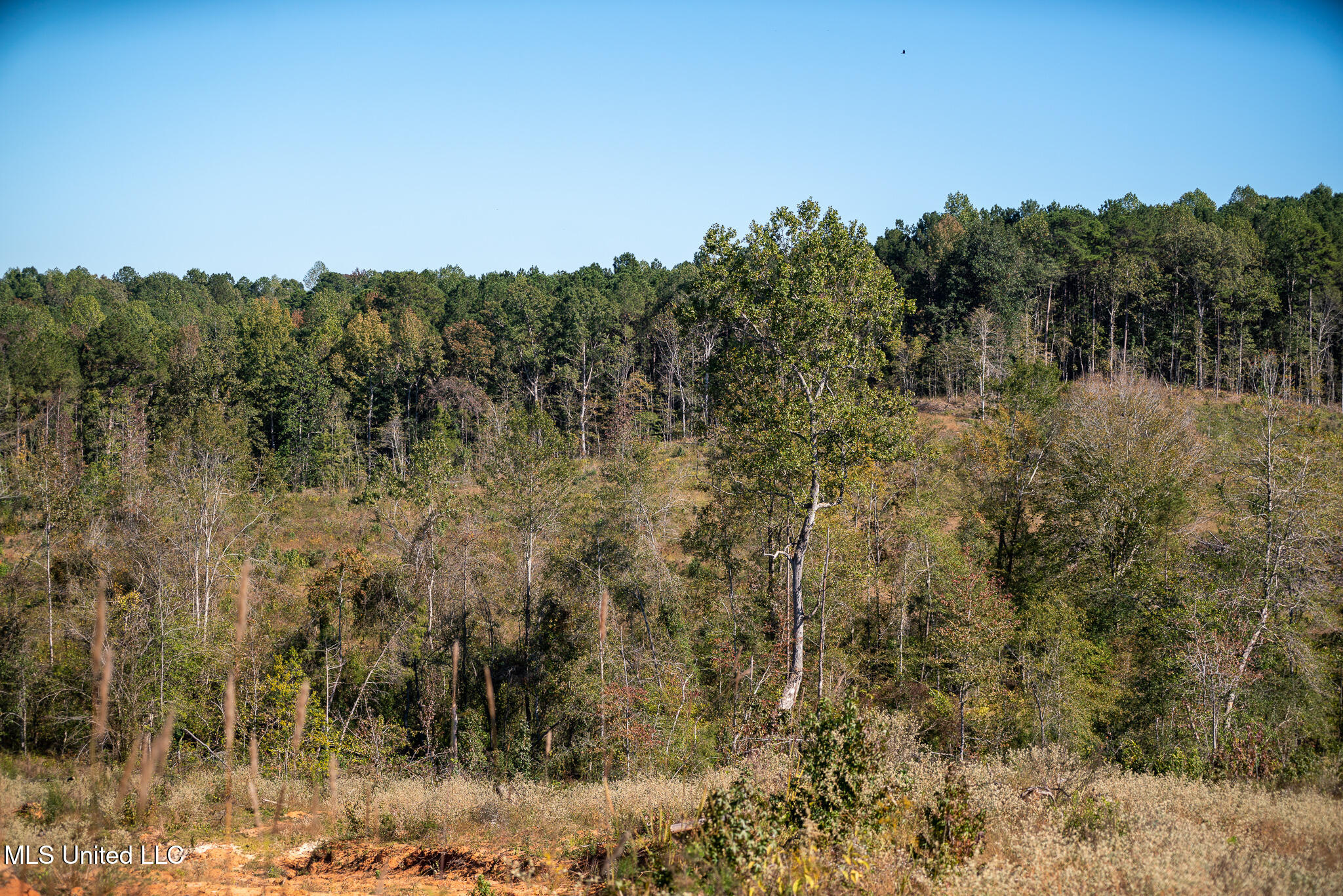 Hickory Fellowship Road, Hickory, Mississippi image 9