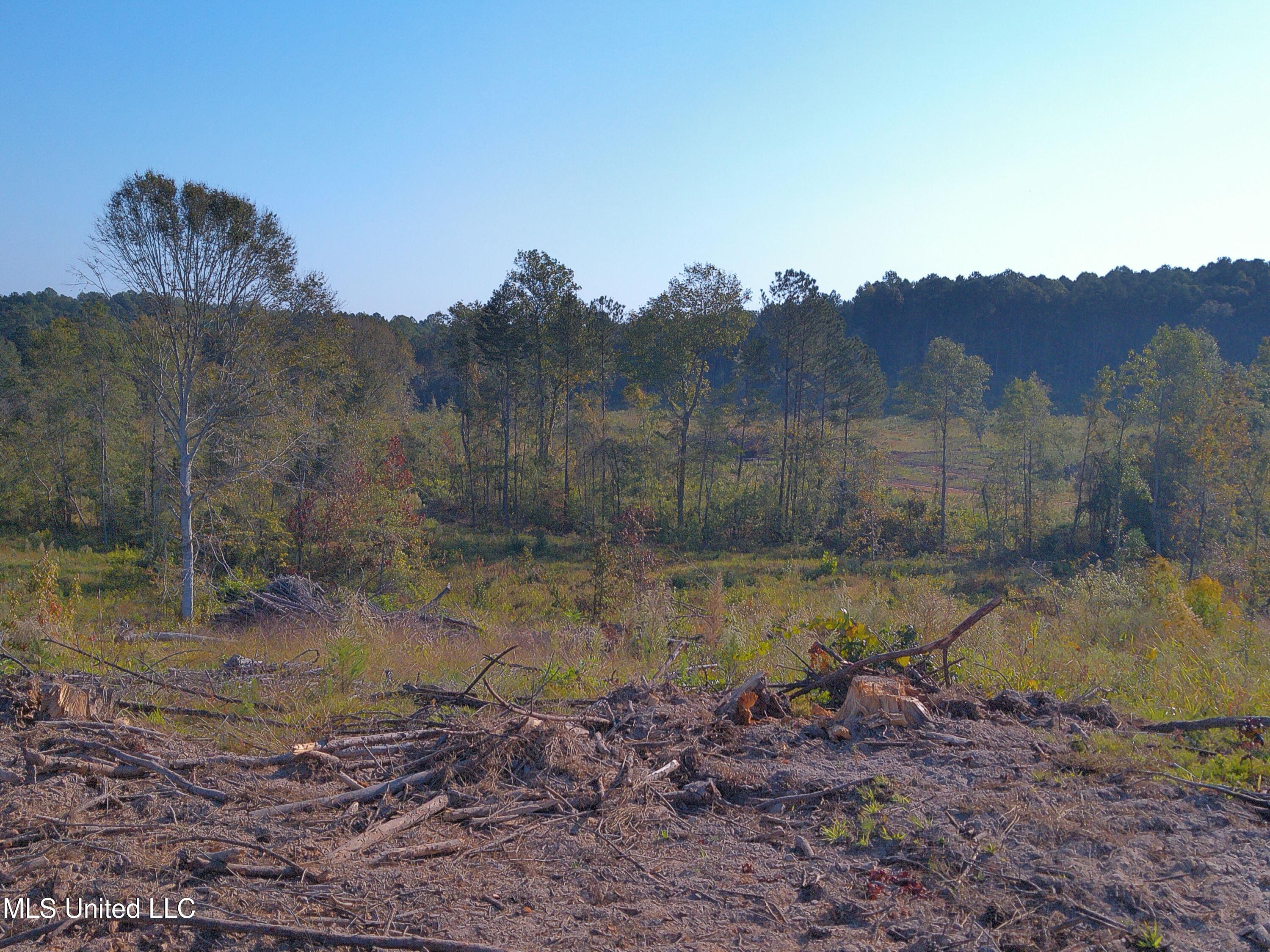 Hickory Fellowship Road, Hickory, Mississippi image 2