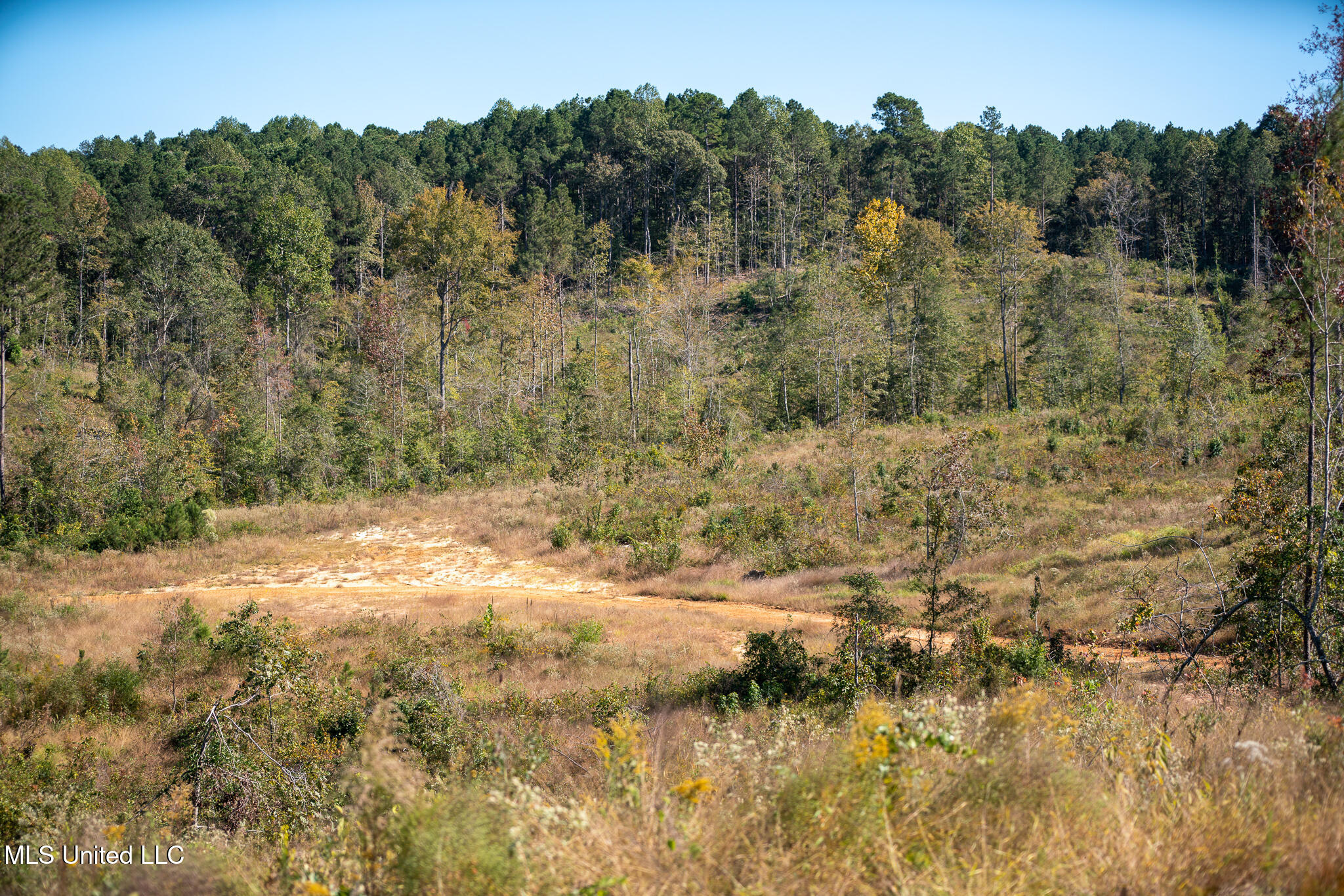 Hickory Fellowship Road, Hickory, Mississippi image 7