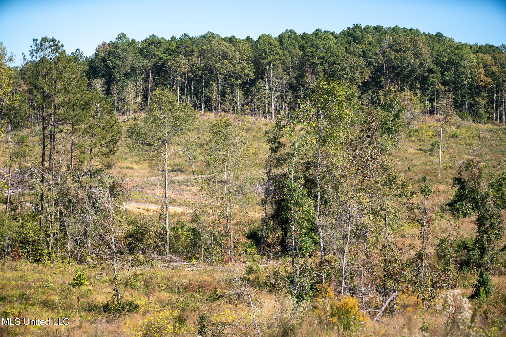 Hickory Fellowship Road, Hickory, Mississippi image 6