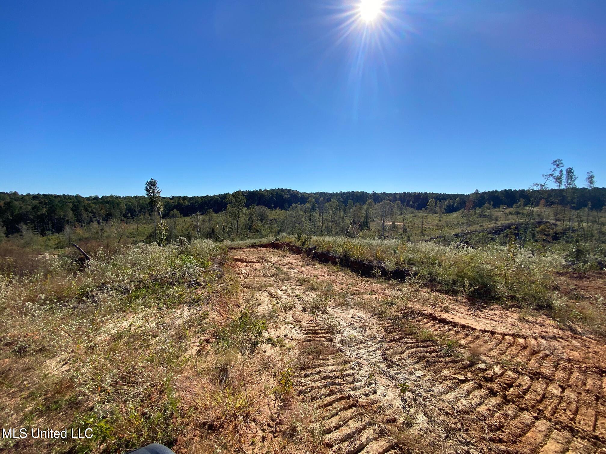 Hickory Fellowship Road, Hickory, Mississippi image 12