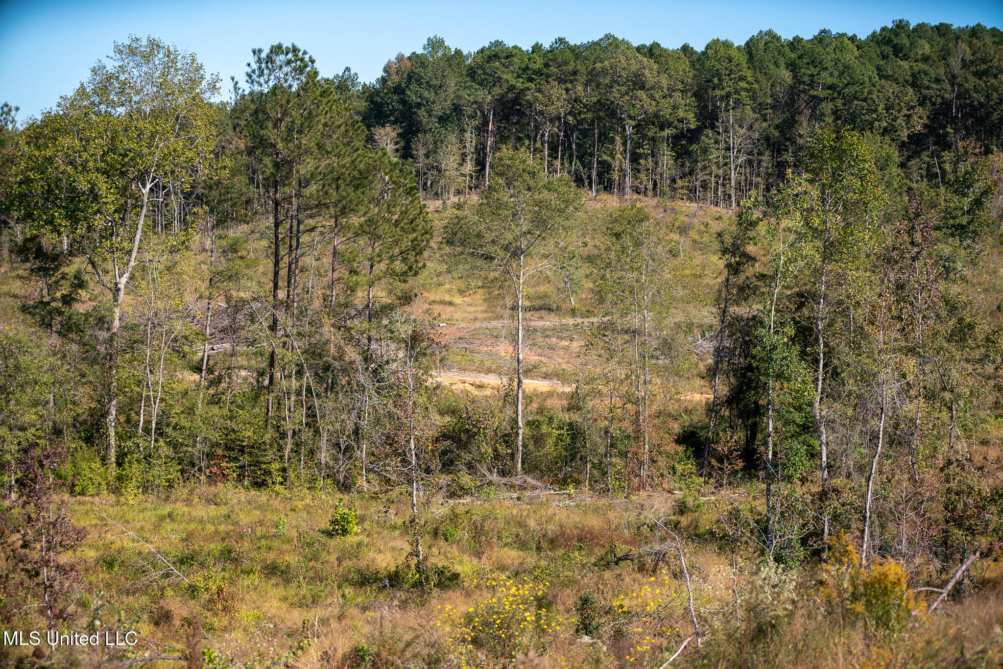 Hickory Fellowship Road, Hickory, Mississippi image 10