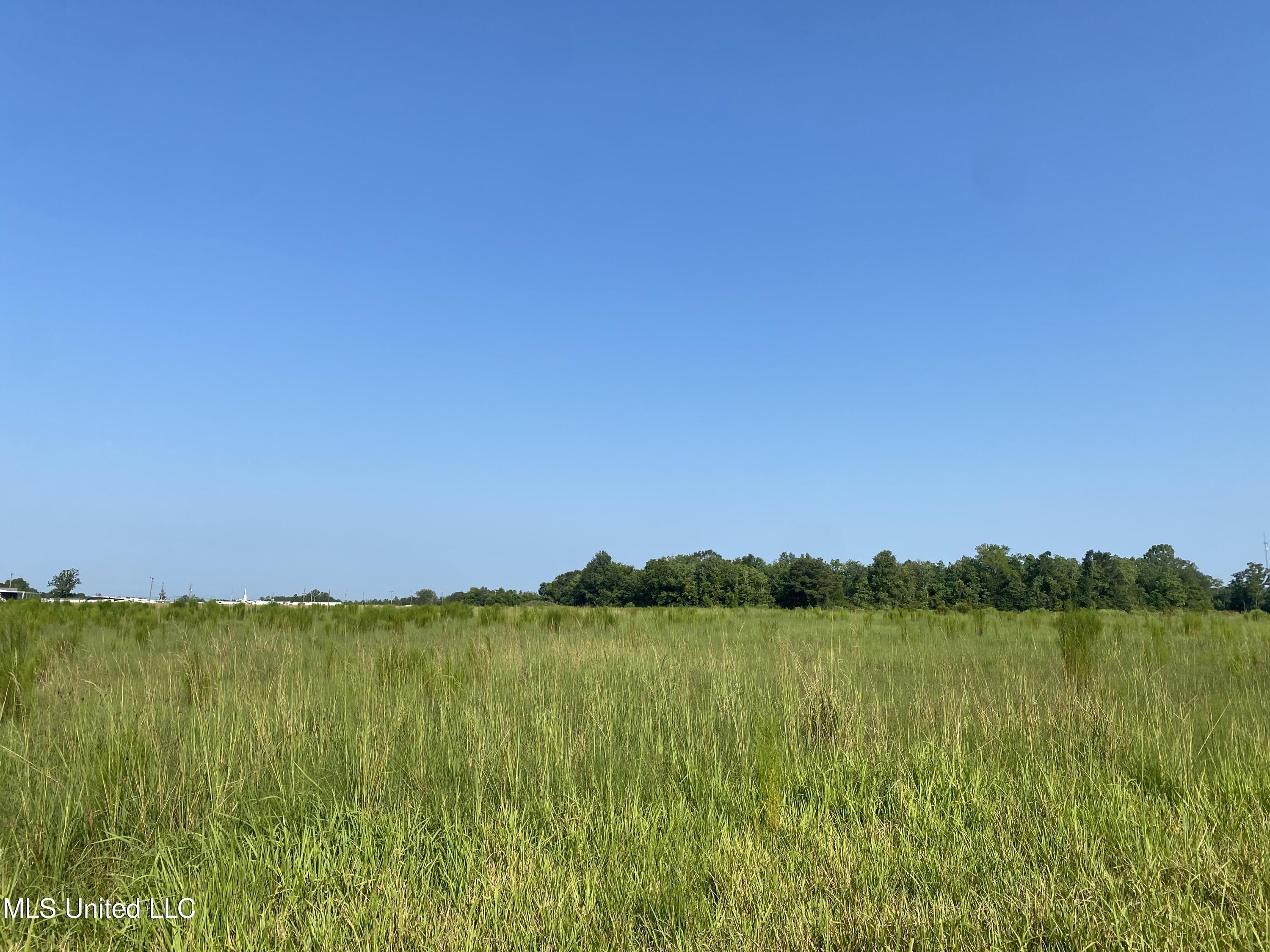 S Highway 63, Lucedale, Mississippi image 7