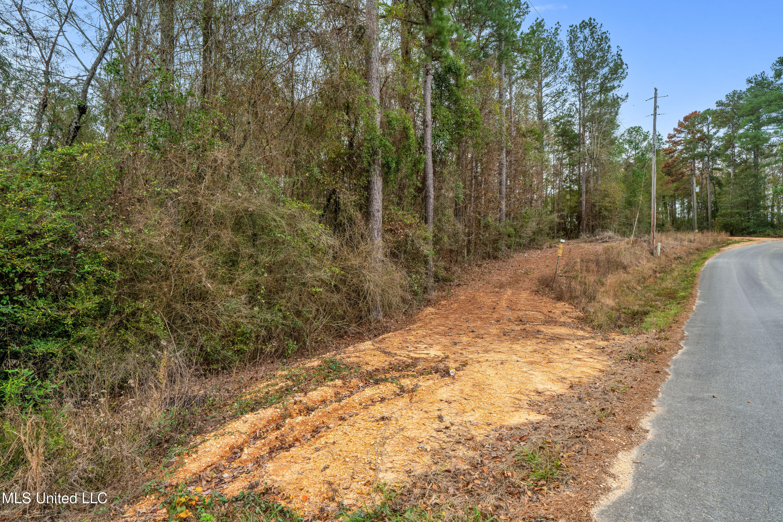 282 Rutland Road, Seminary, Mississippi image 6