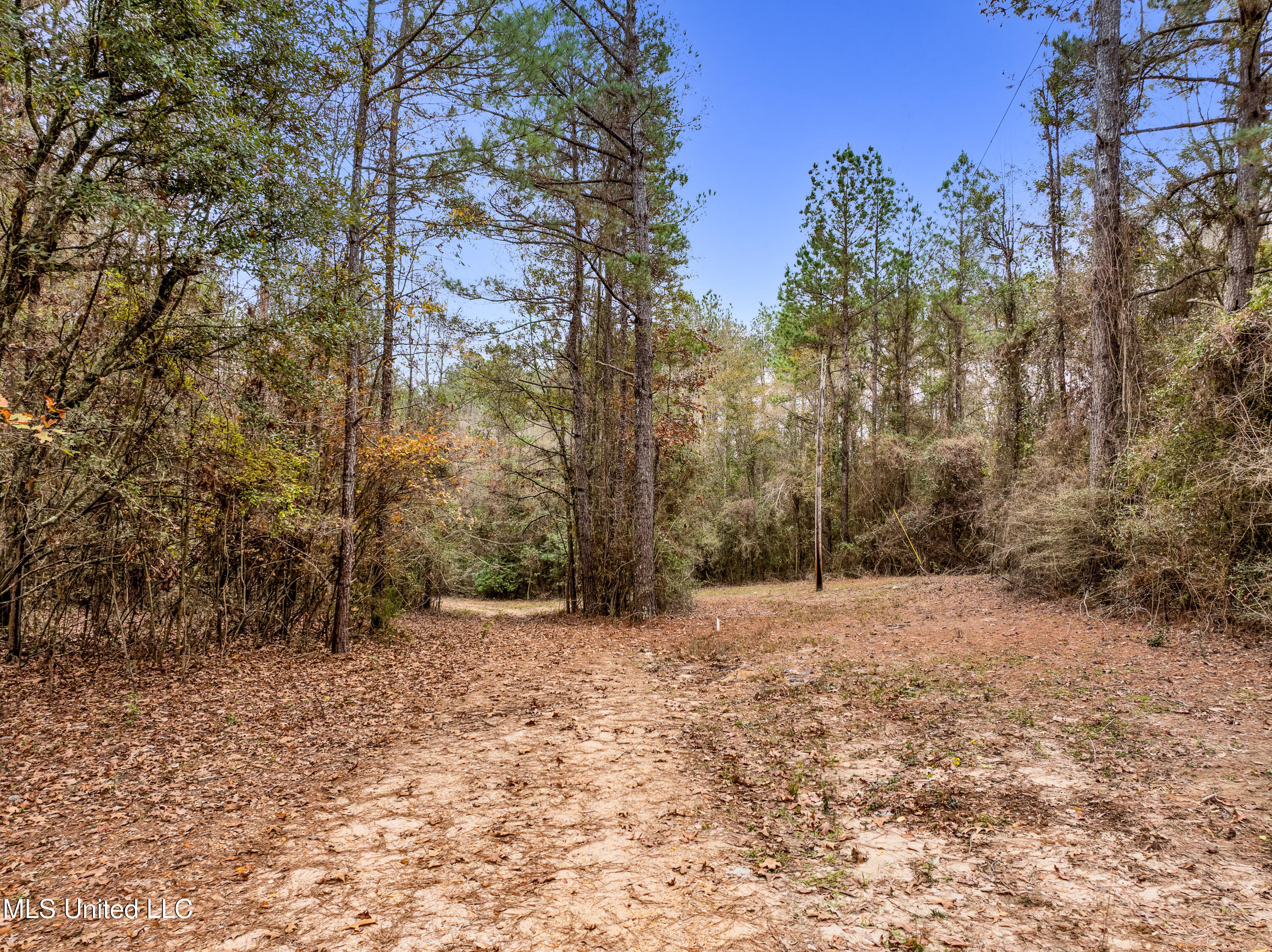 282 Rutland Road, Seminary, Mississippi image 9