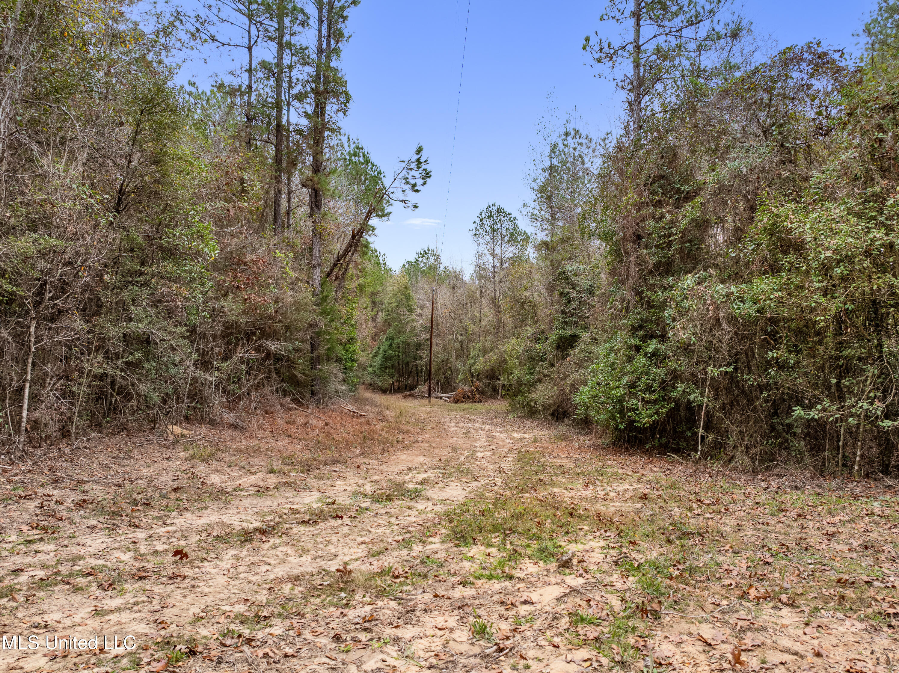 282 Rutland Road, Seminary, Mississippi image 8