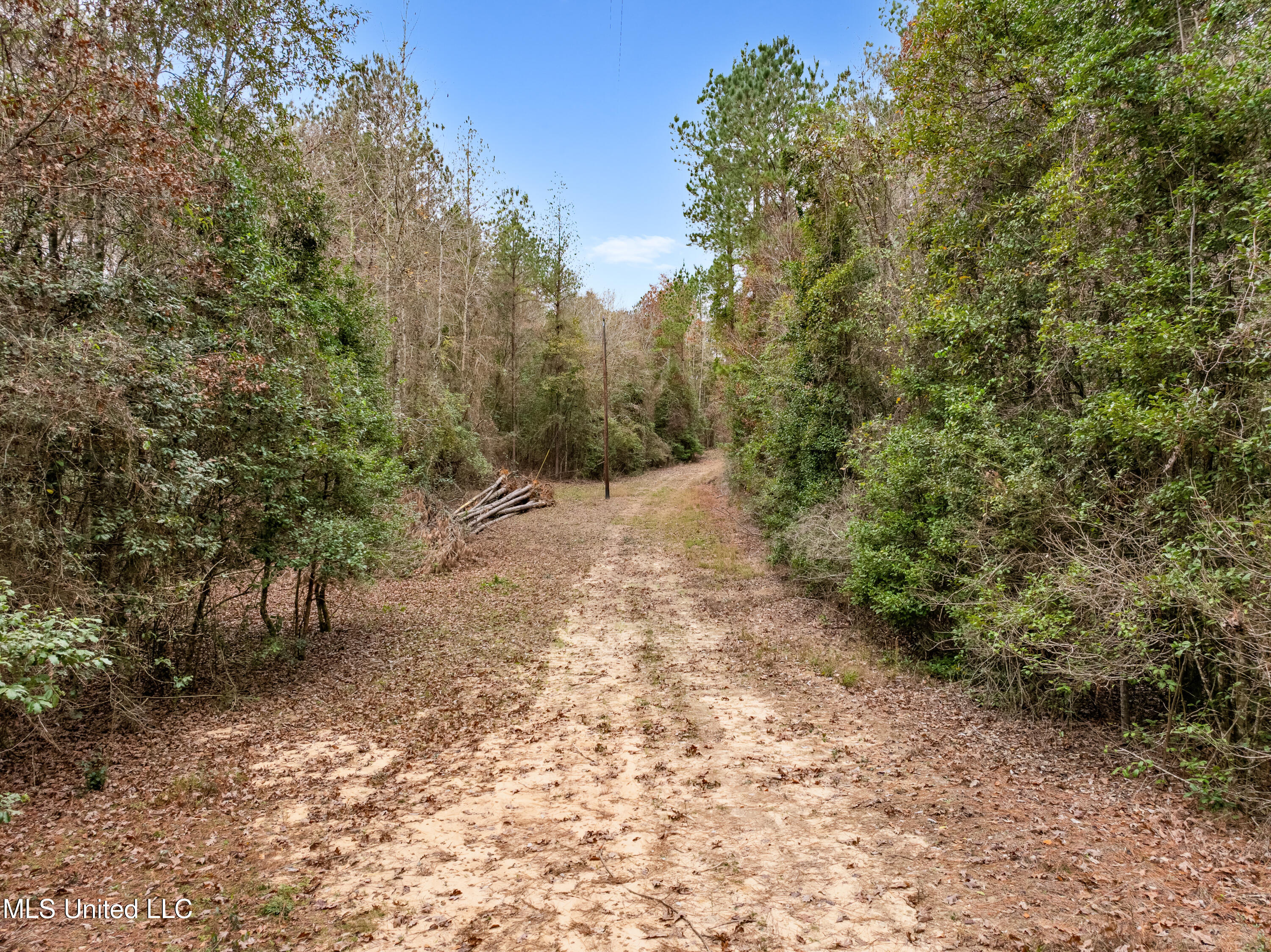 282 Rutland Road, Seminary, Mississippi image 11