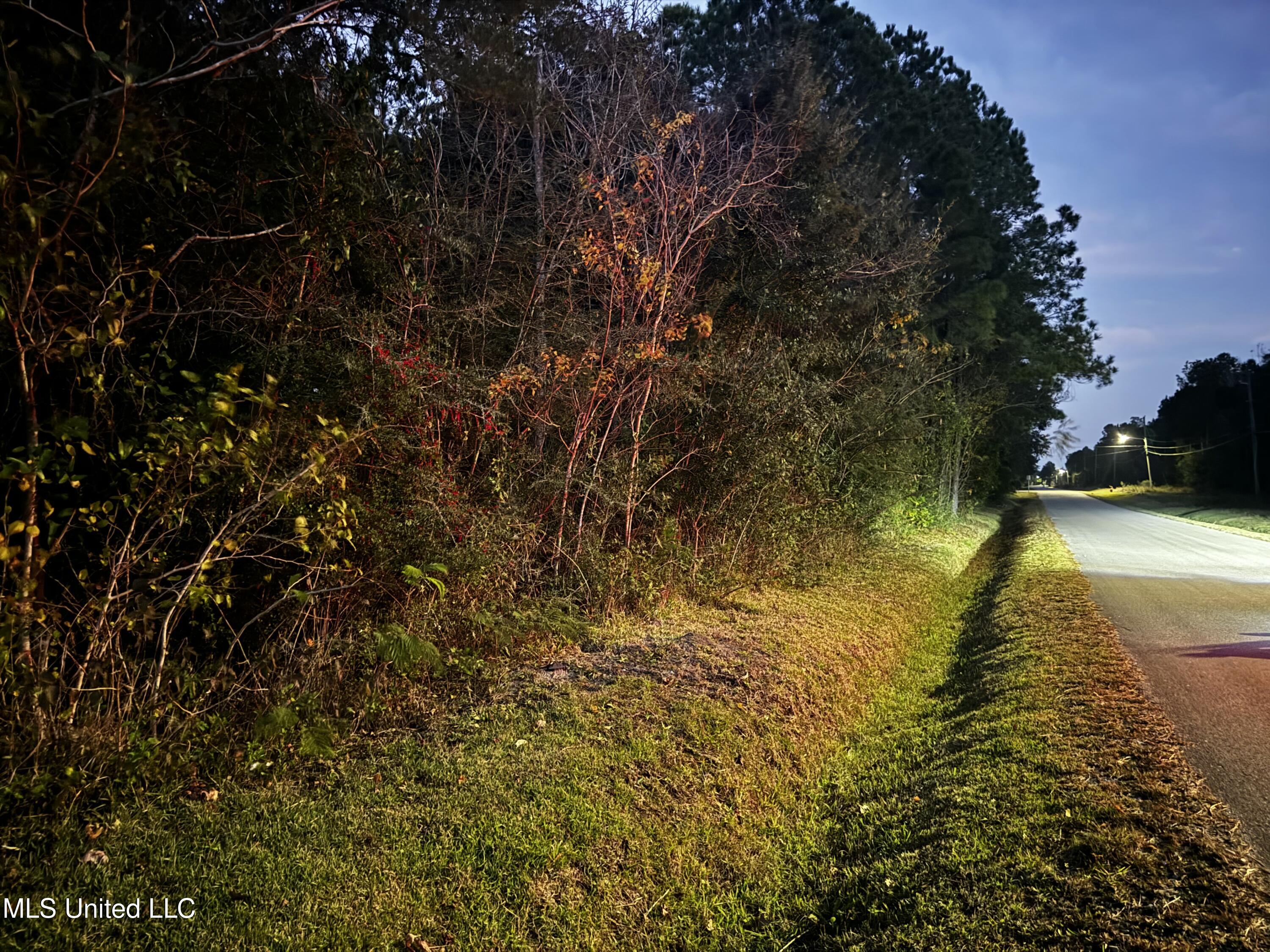 160 Pogo Road, Bay Saint Louis, Mississippi image 4