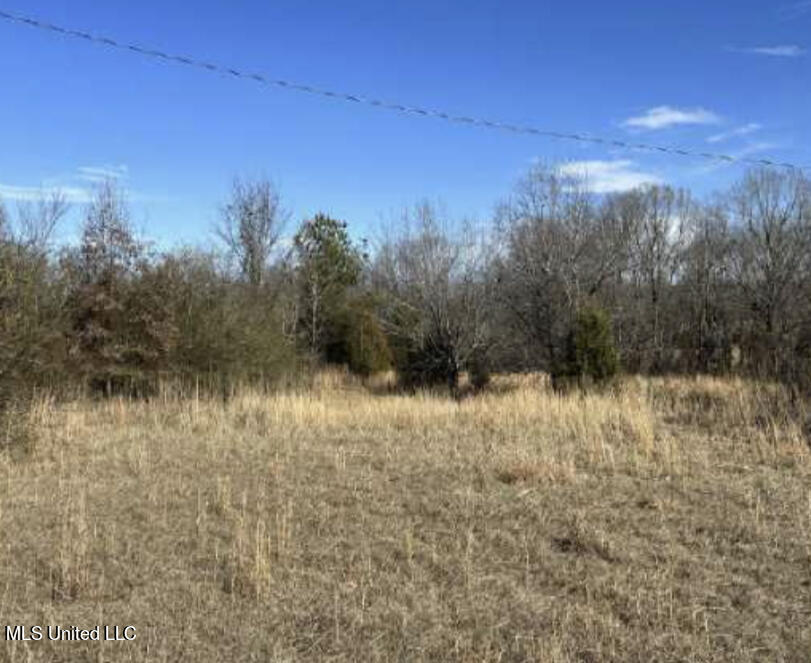 Clear Creek Road, Lamar, Mississippi image 9