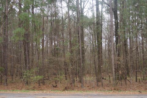 Vacant Land For Sale - 1075 Pine Cove Drive<br/> Terry, MS 39170