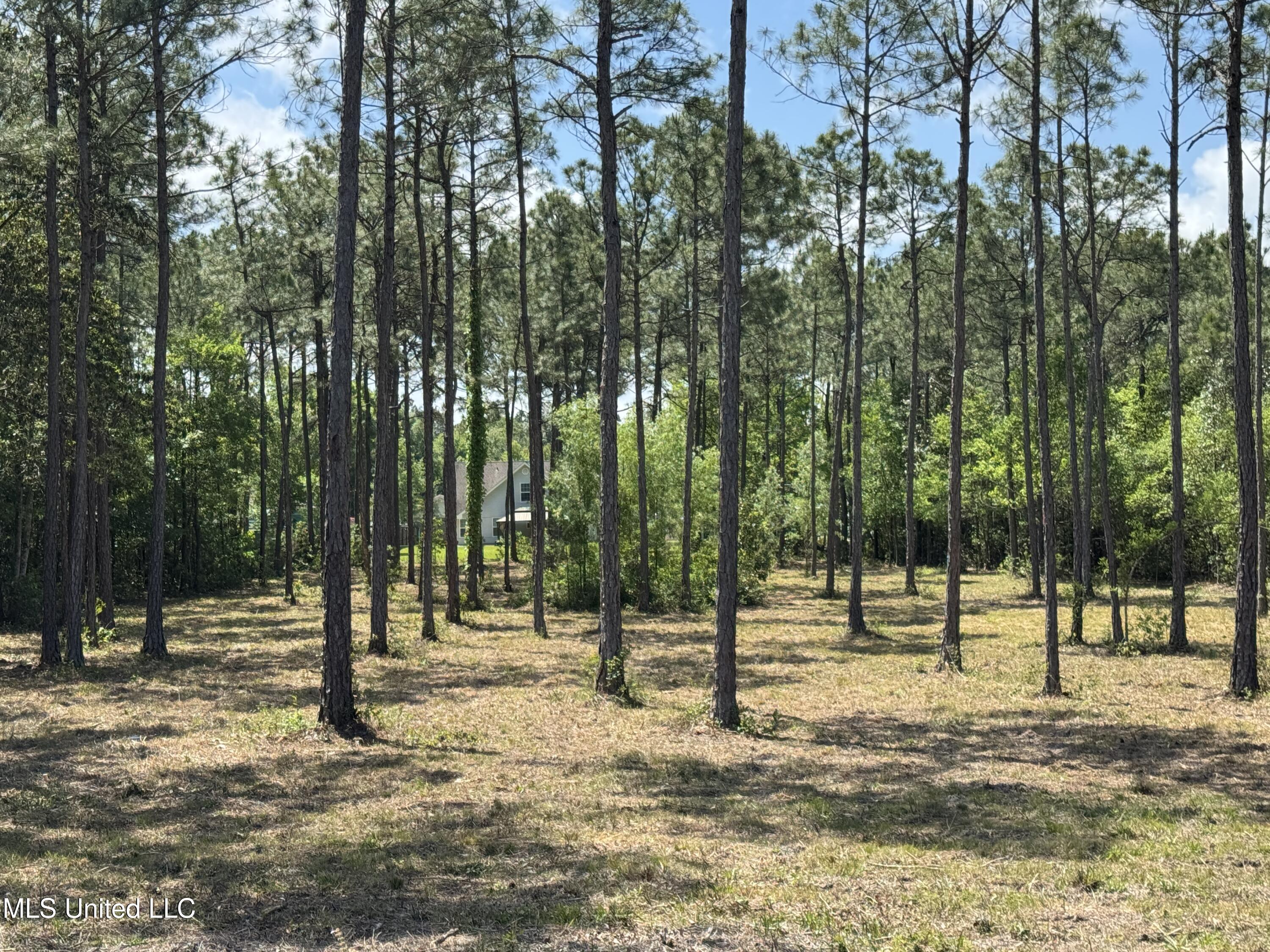 11612 Quail Creek Drive, Ocean Springs, Mississippi image 26
