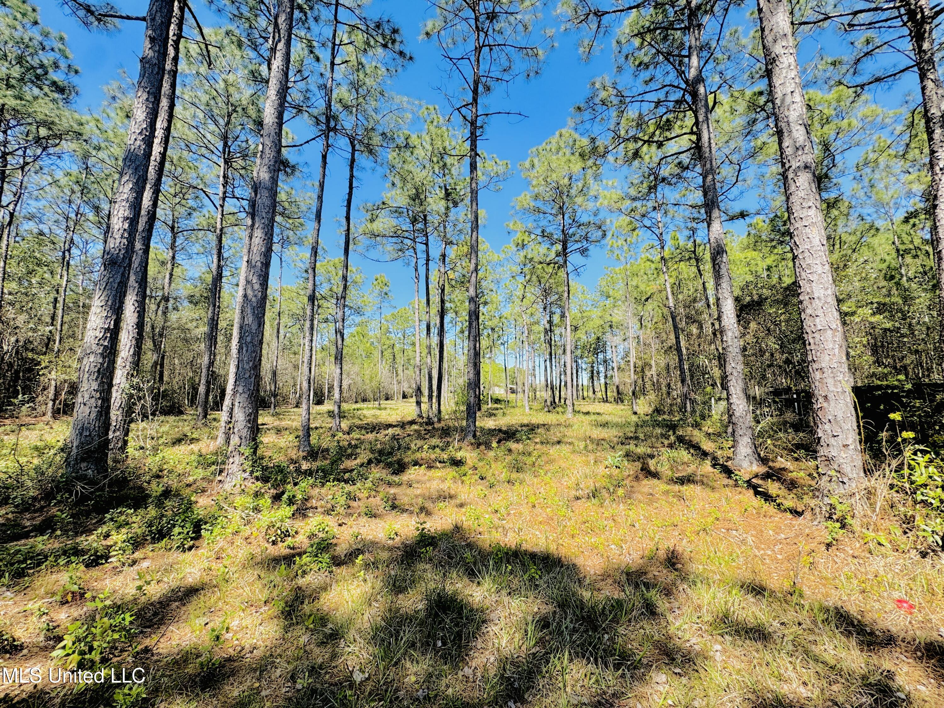 11612 Quail Creek Drive, Ocean Springs, Mississippi image 23