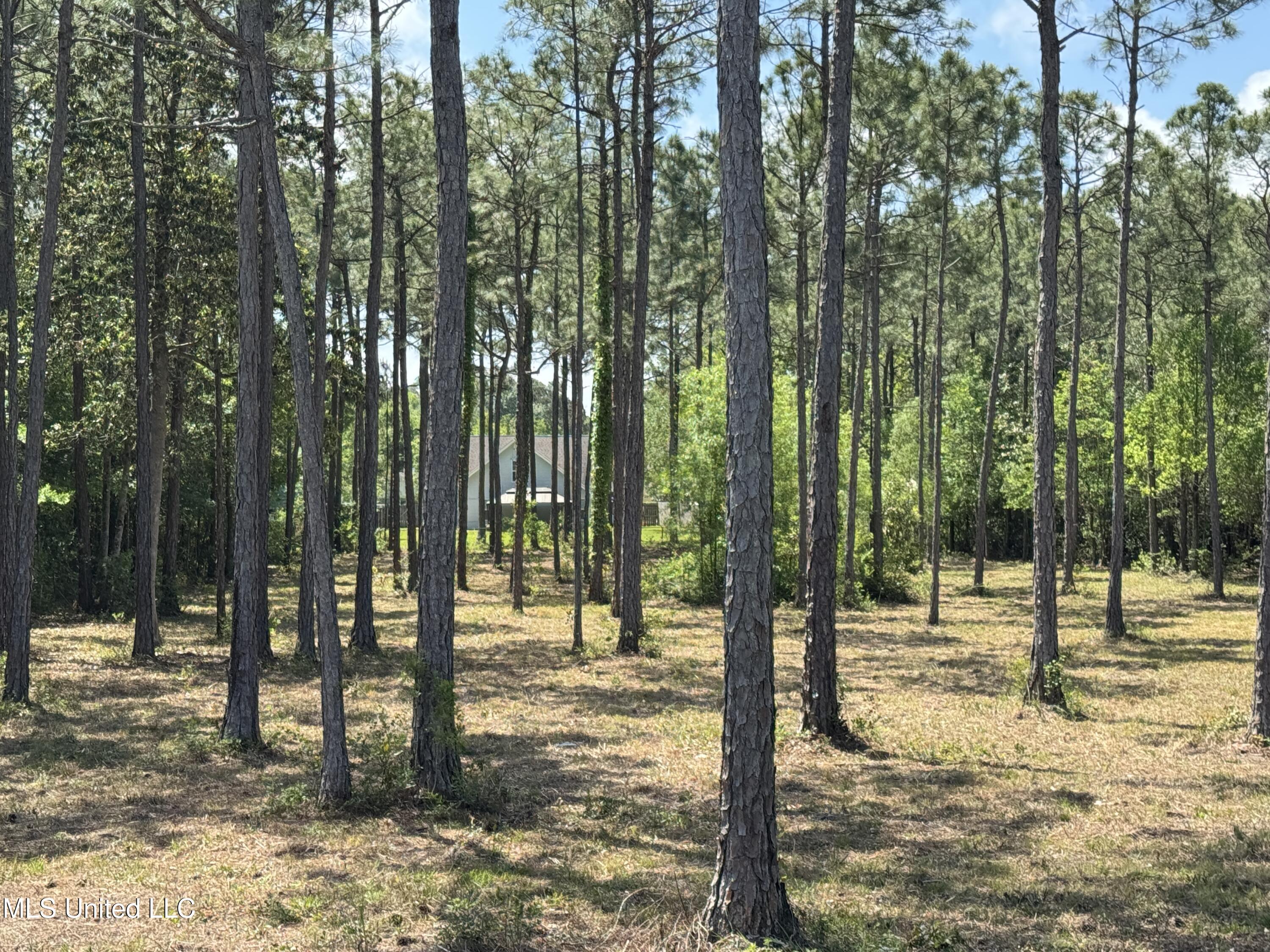 11612 Quail Creek Drive, Ocean Springs, Mississippi image 28