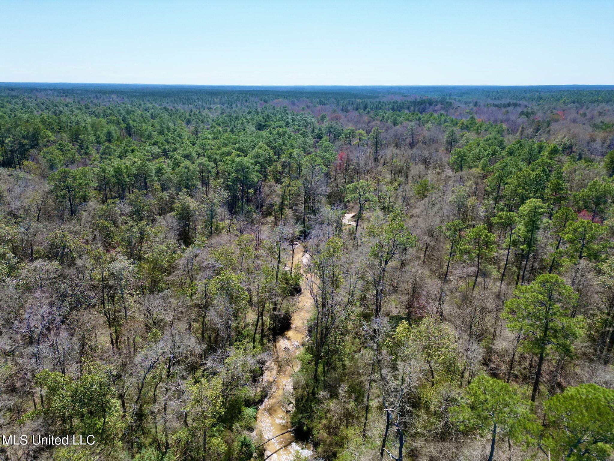 Cowart Holiday Road, Poplarville, Mississippi image 11