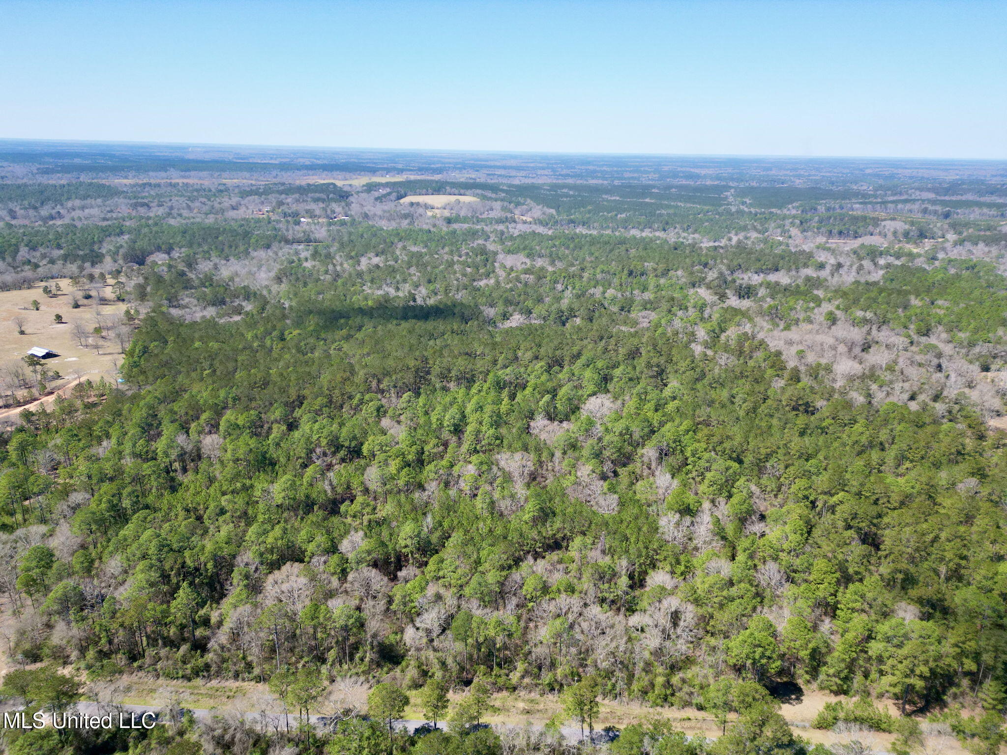 Cowart Holiday Road, Poplarville, Mississippi image 7