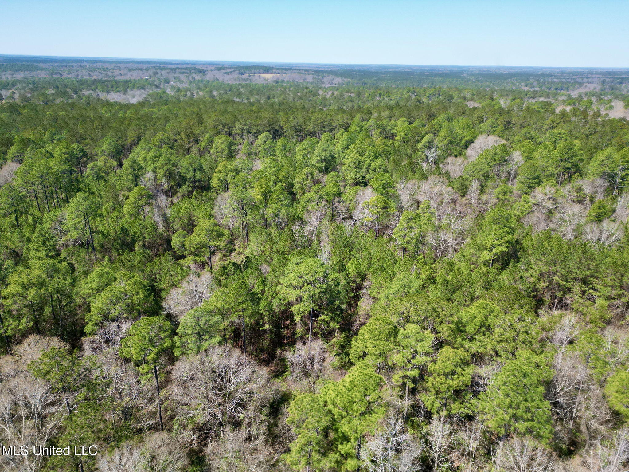 Cowart Holiday Road, Poplarville, Mississippi image 9