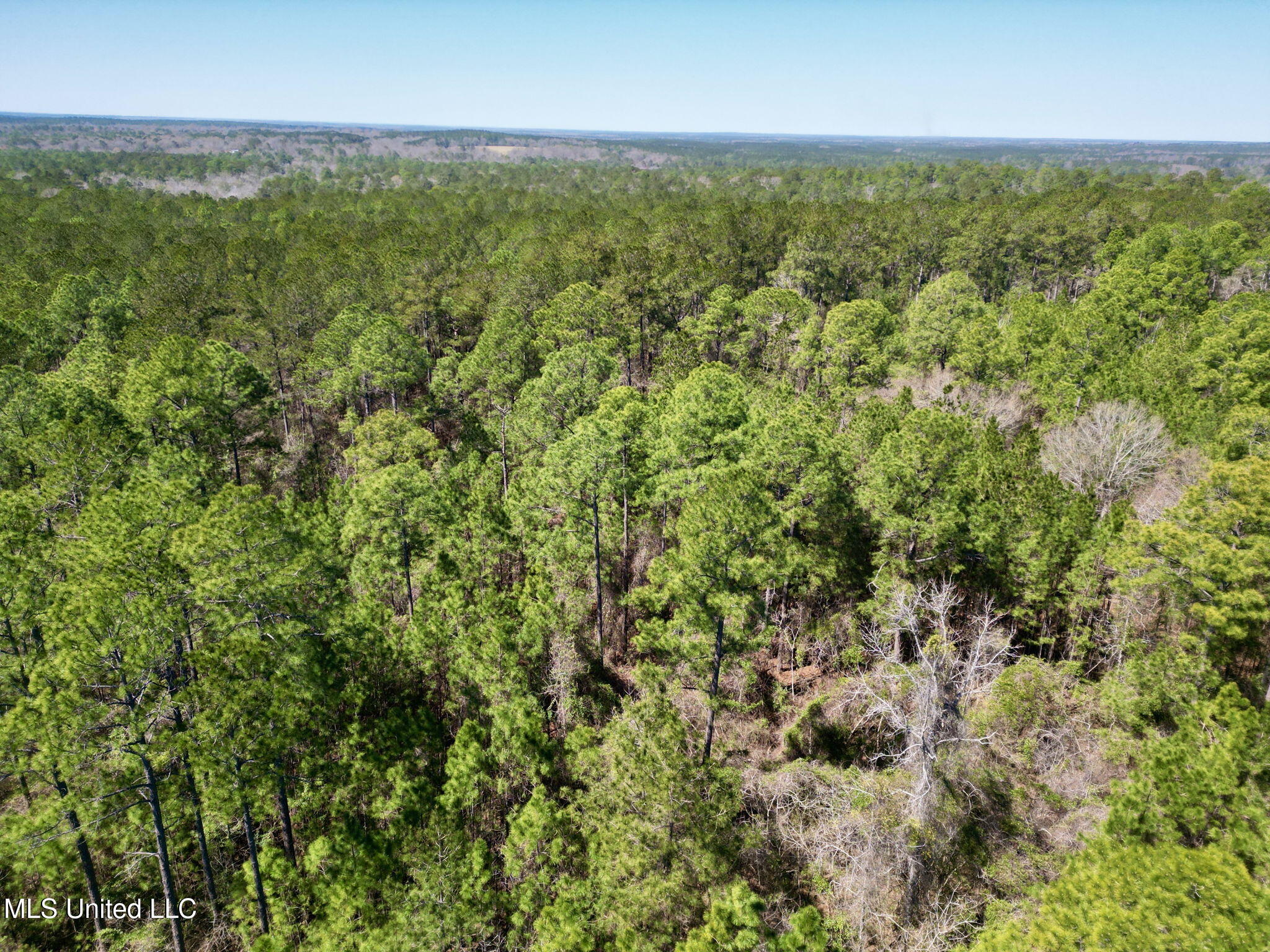 Cowart Holiday Road, Poplarville, Mississippi image 6