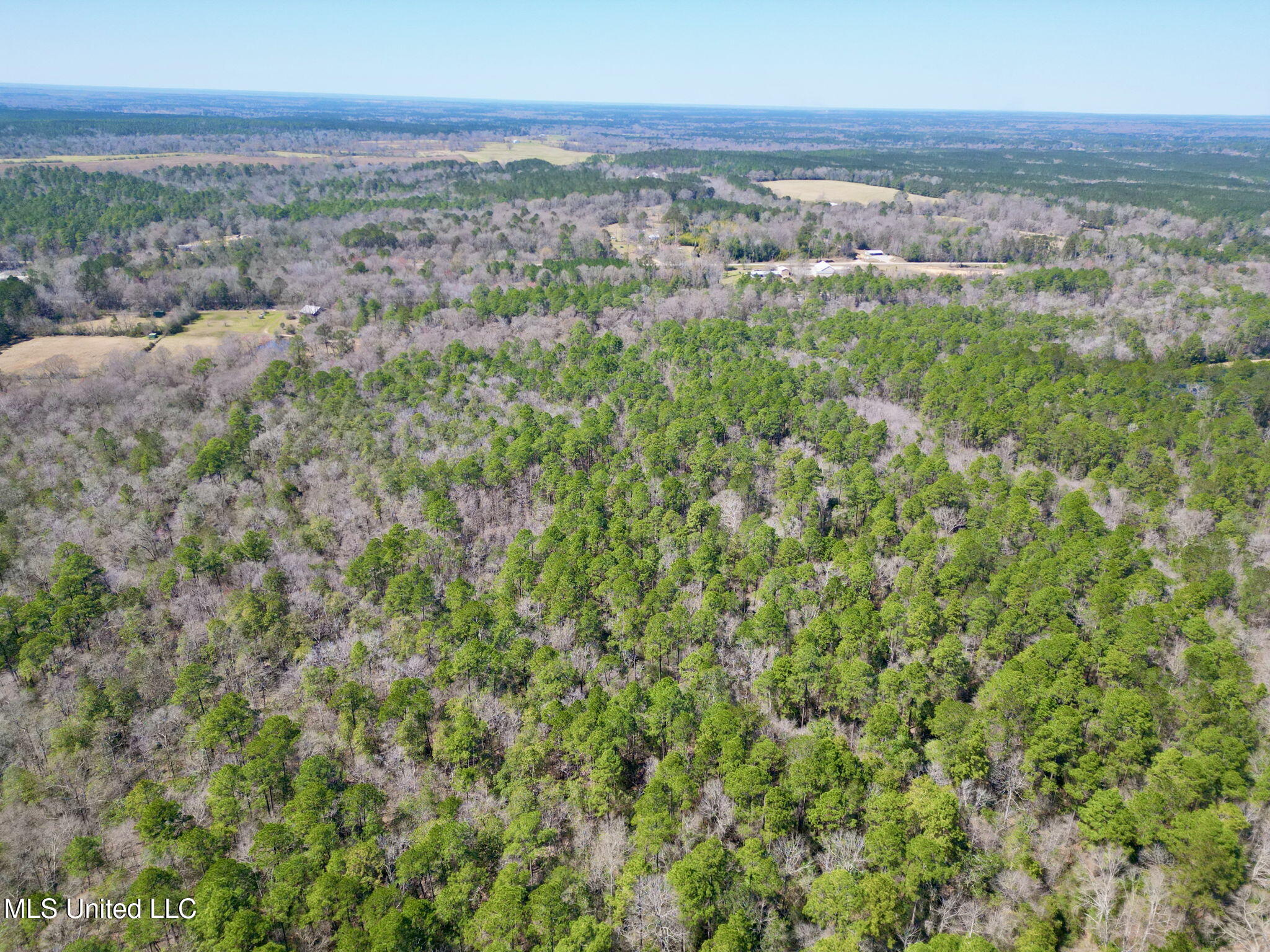 Cowart Holiday Road, Poplarville, Mississippi image 36