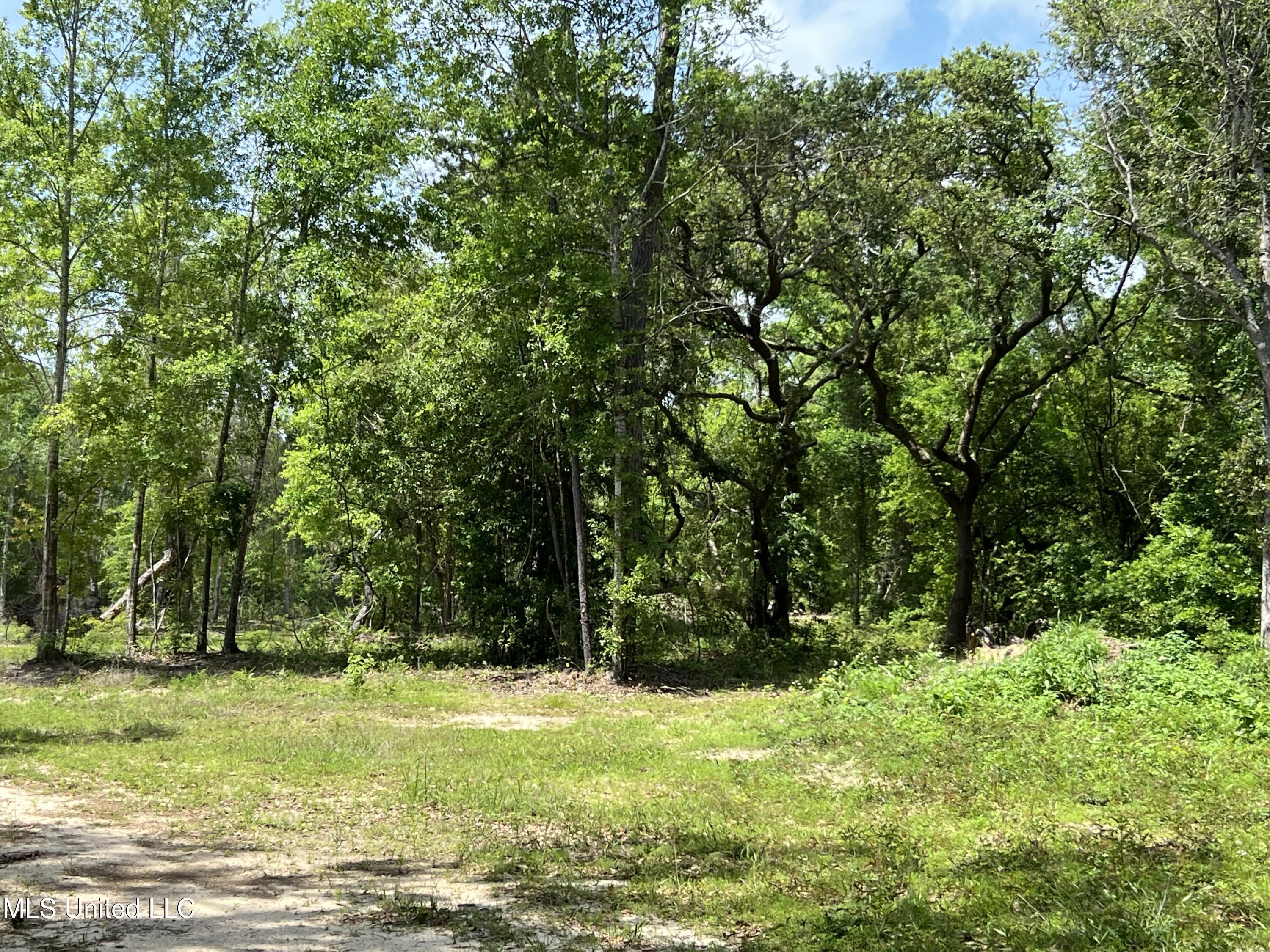 4329 Menge Avenue, Pass Christian, Mississippi image 3