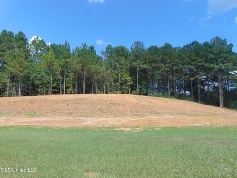 Vacant Land For Sale - David Britt Street<br/> Wesson, MS 39191