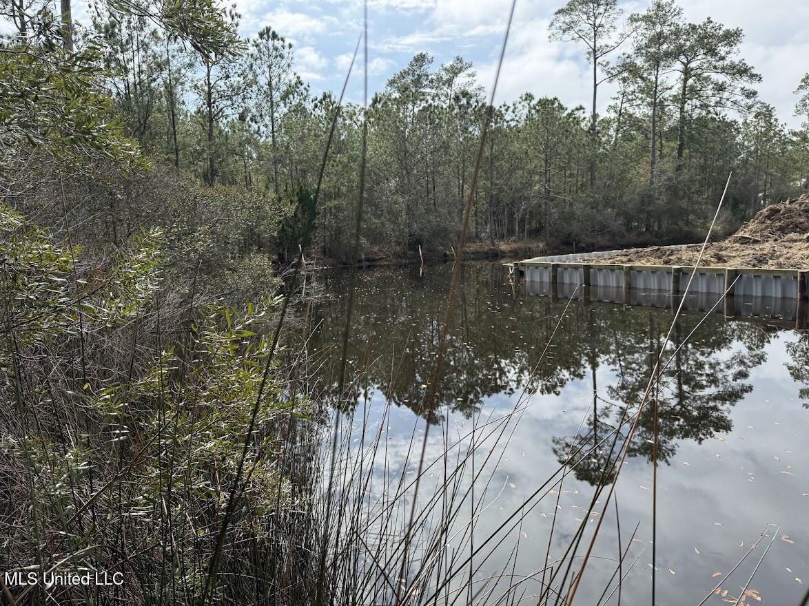 River Dr / Cooper St, Waveland, Mississippi image 5