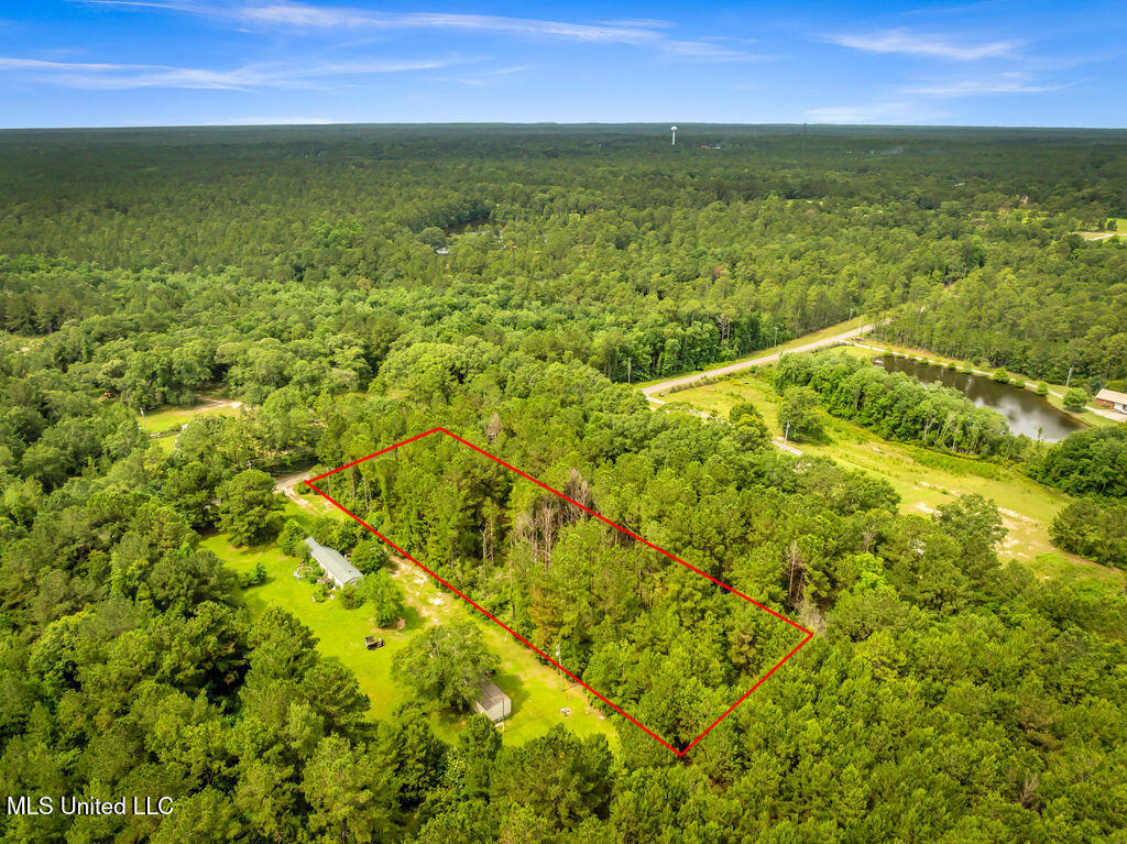 Taylor Road, Saucier, Mississippi image 1
