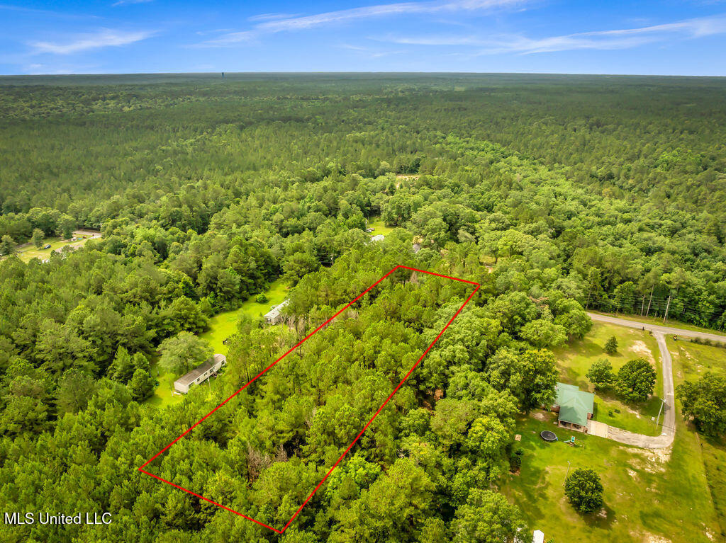 Taylor Road, Saucier, Mississippi image 6