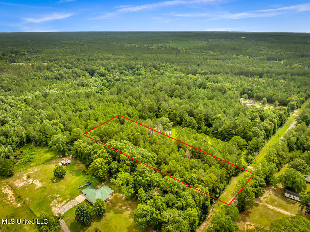 Taylor Road, Saucier, Mississippi image 3