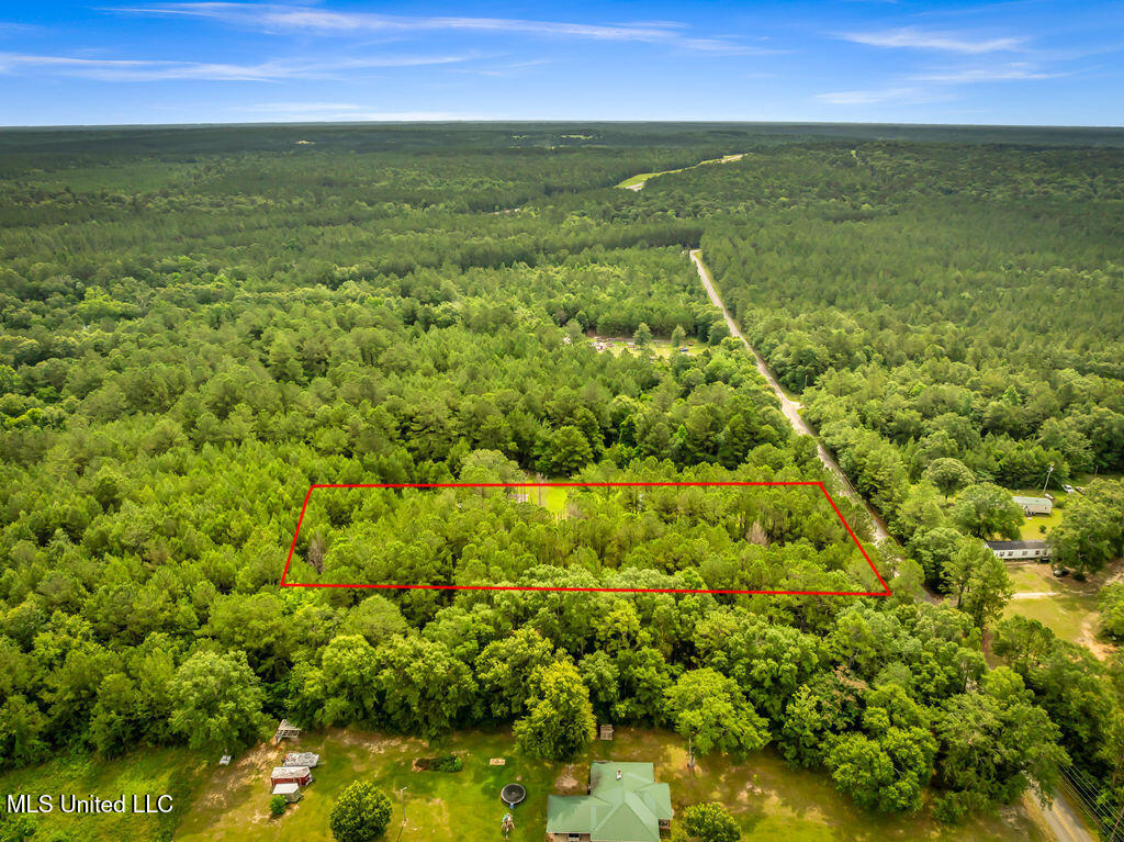 Taylor Road, Saucier, Mississippi image 2